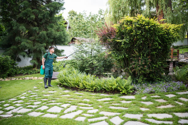 Best Affordable Pest Control Services  in Mascot, TN