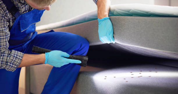 Best Pest Removal Services  in Mascot, TN