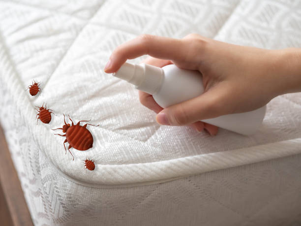 Best Flea Control Services  in Mascot, TN